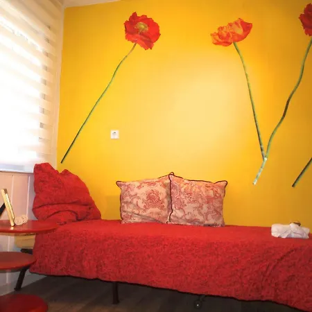 Baron Management Apartment Heidelberg